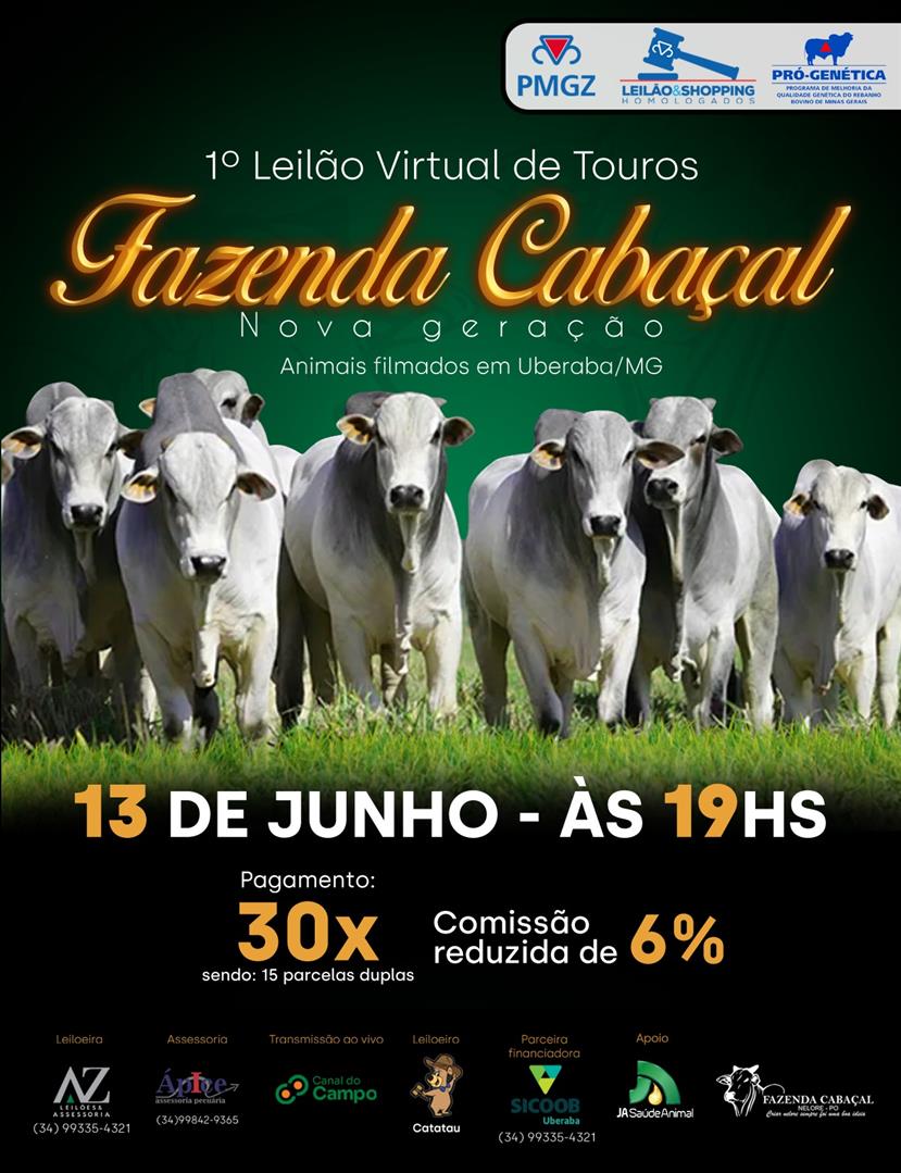 1º Leilão Virtual Fazenda Jardim 