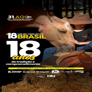 18° LEILÃO CAVALOS DO BRASIL
